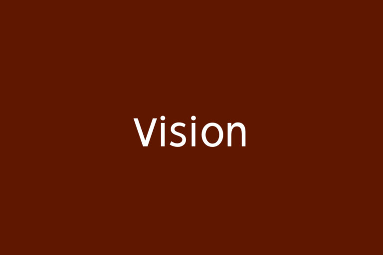 Vision | Fonts Shmonts