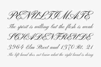 Pinyon Script | Fonts Shmonts