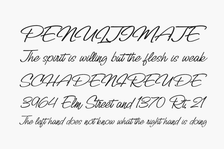 Billy Signature | Fonts Shmonts