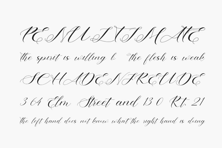 Amira | Fonts Shmonts